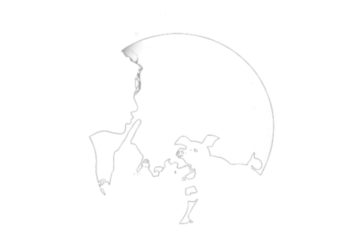 eatre d’ombres per a tots