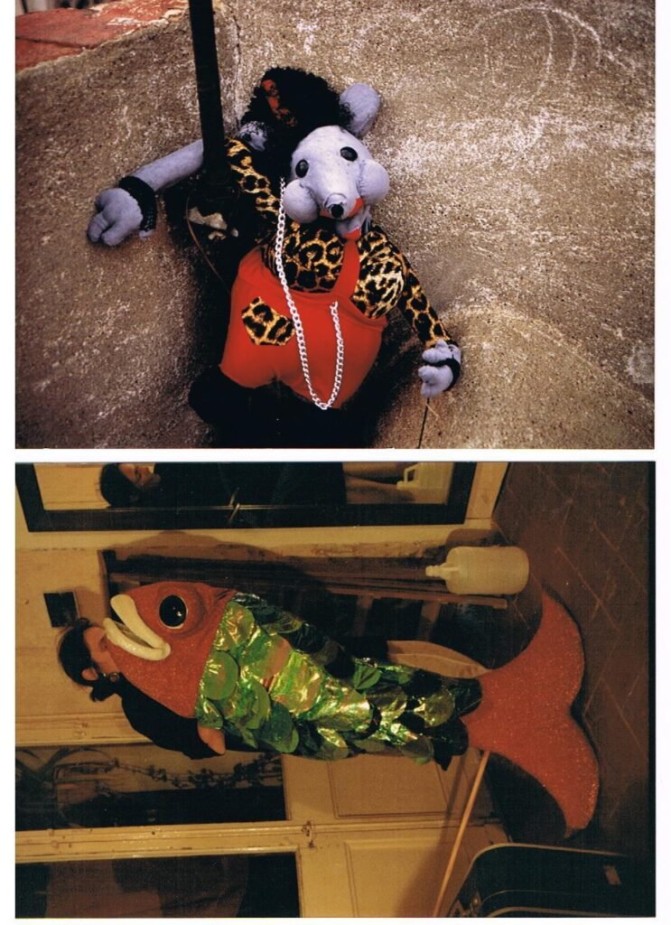 Raticonte. Alvic 2. Centimetre i mig