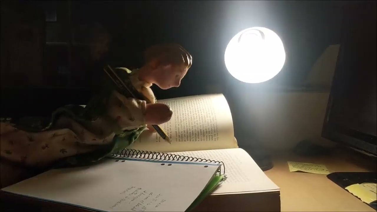 Actualitat de la Cia Mercè Framis